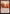Transforming Flourish [Tarkir: Dragonstorm Commander] - Magic: The Gathering - Card Brawlers | Quebec | Canada |