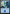 Island (292) [Commander Anthology Volume II] - Magic: The Gathering - Card Brawlers | Quebec | Canada |