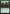 Second Harvest [Innistrad Remastered] - Magic: The Gathering - Card Brawlers | Quebec | Canada |