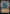 Throne of the Grim Captain // The Grim Captain (Showcase) [The Lost Caverns of Ixalan] - Magic: The Gathering - Card Brawlers | Quebec | Canada |