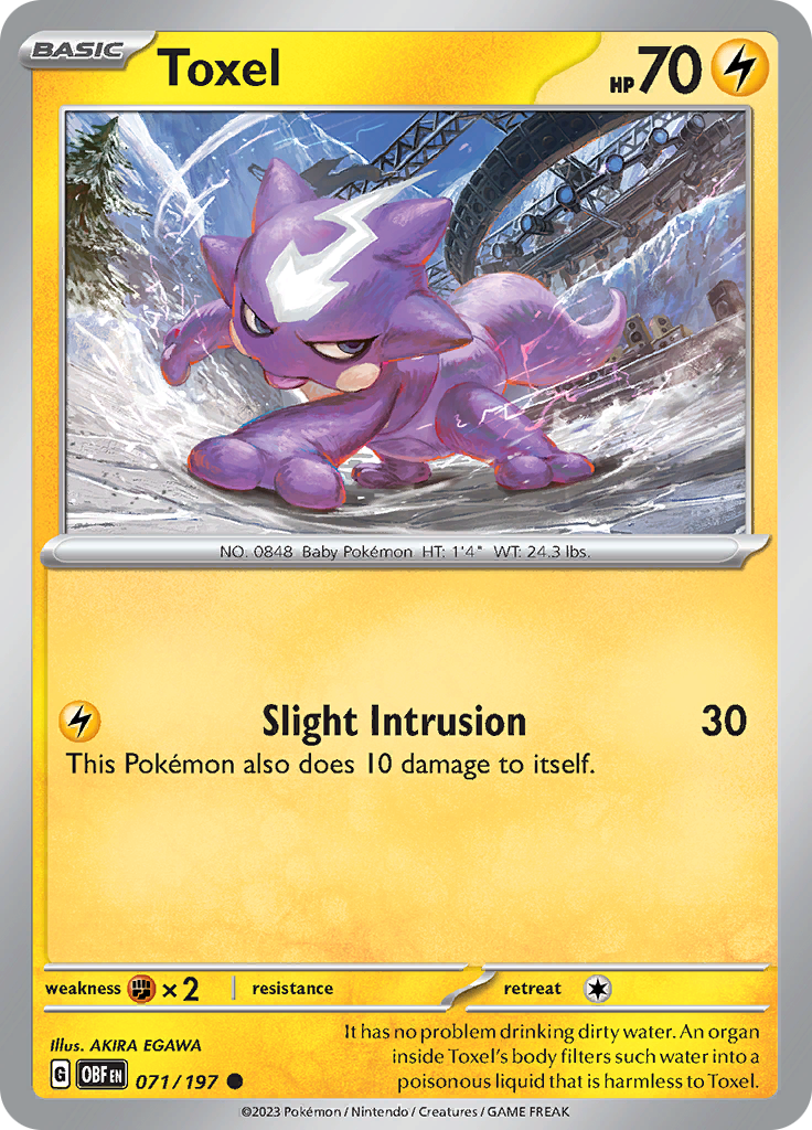 Toxel (071/197) [Scarlet & Violet: Obsidian Flames] - Pokémon - Card Brawlers | Quebec | Canada |