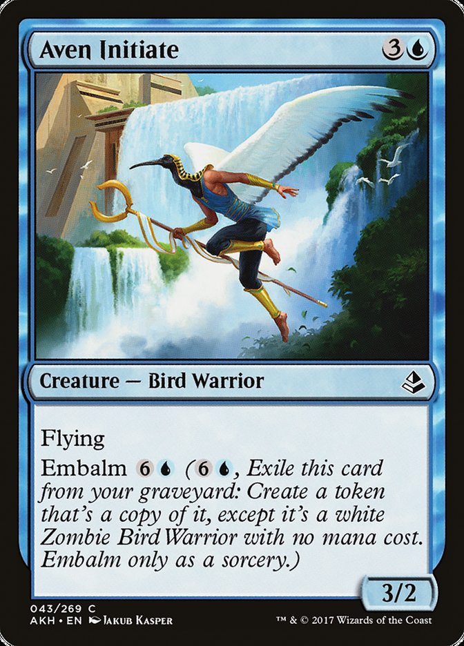Aven Initiate [Amonkhet] - Magic: The Gathering - Card Brawlers | Quebec | Canada |