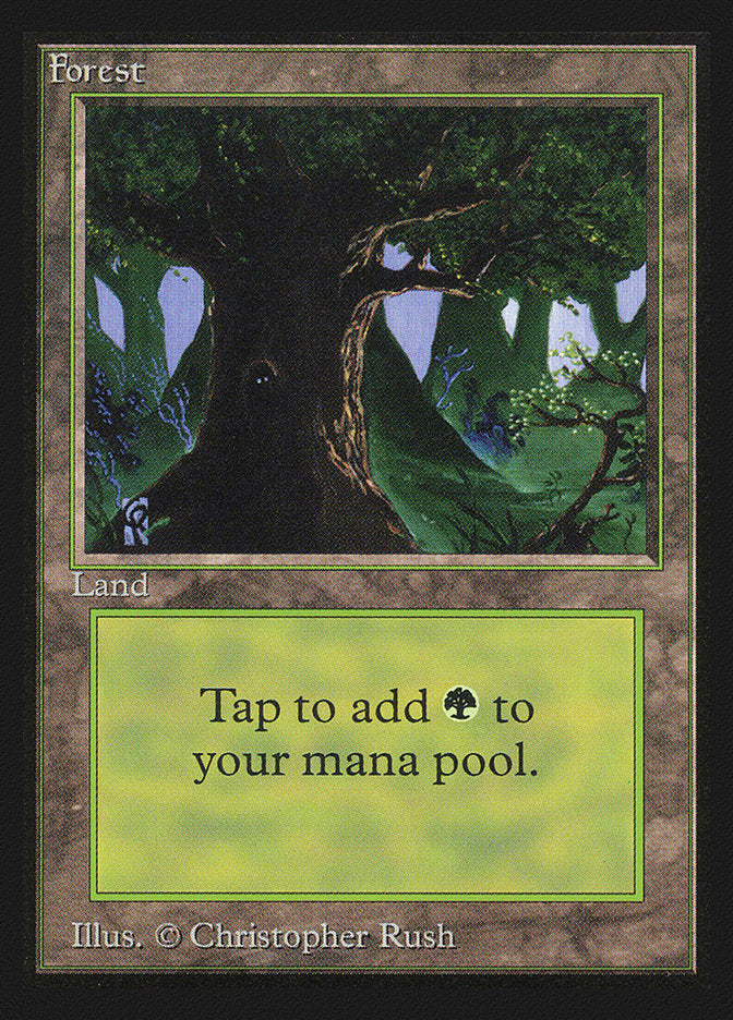 Forest (Eyes in Tree) [Collectors' Edition] - Magic: The Gathering - Card Brawlers | Quebec | Canada |