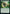 Search for Tomorrow [Commander Legends: Battle for Baldur's Gate] - Magic: The Gathering - Card Brawlers | Quebec | Canada |