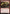 Goblin Trashmaster (Promo Pack) [Core Set 2019 Promos] - Magic: The Gathering - Card Brawlers | Quebec | Canada |