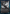 Repository Skaab [Innistrad: Double Feature] - Magic: The Gathering - Card Brawlers | Quebec | Canada |