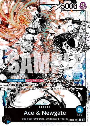 Ace & Newgate (Parallel) (ST22-001) - Starter Deck 22: Ace & Newgate Foil - Card Brawlers