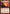 Searing Blaze [Duel Decks: Venser vs. Koth] - Magic: The Gathering - Card Brawlers | Quebec | Canada |