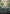 Greater Auramancy (Anime Borderless) (Confetti Foil) [Wilds of Eldraine: Enchanting Tales] - Magic: The Gathering - Card Brawlers | Quebec | Canada |