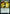 Dragonsguard Elite [Strixhaven: School of Mages] - Magic: The Gathering - Card Brawlers | Quebec | Canada |