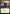 Watchwolf [Guilds of Ravnica Guild Kit] - Magic: The Gathering - Card Brawlers | Quebec | Canada |