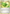 Life Herb (79/95) [HeartGold & SoulSilver: Unleashed] - Pokémon - Card Brawlers | Quebec | Canada |
