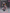Threezero - Evangelion: New Theatrical Edition - ROBO-DOU - Type-08α - (PREORDER) December 15, 2026