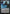 Jace Beleren [Media Promos] - Magic: The Gathering - Card Brawlers | Quebec | Canada |
