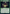 Abundance [Warhammer 40,000] - Magic: The Gathering - Card Brawlers | Quebec | Canada |