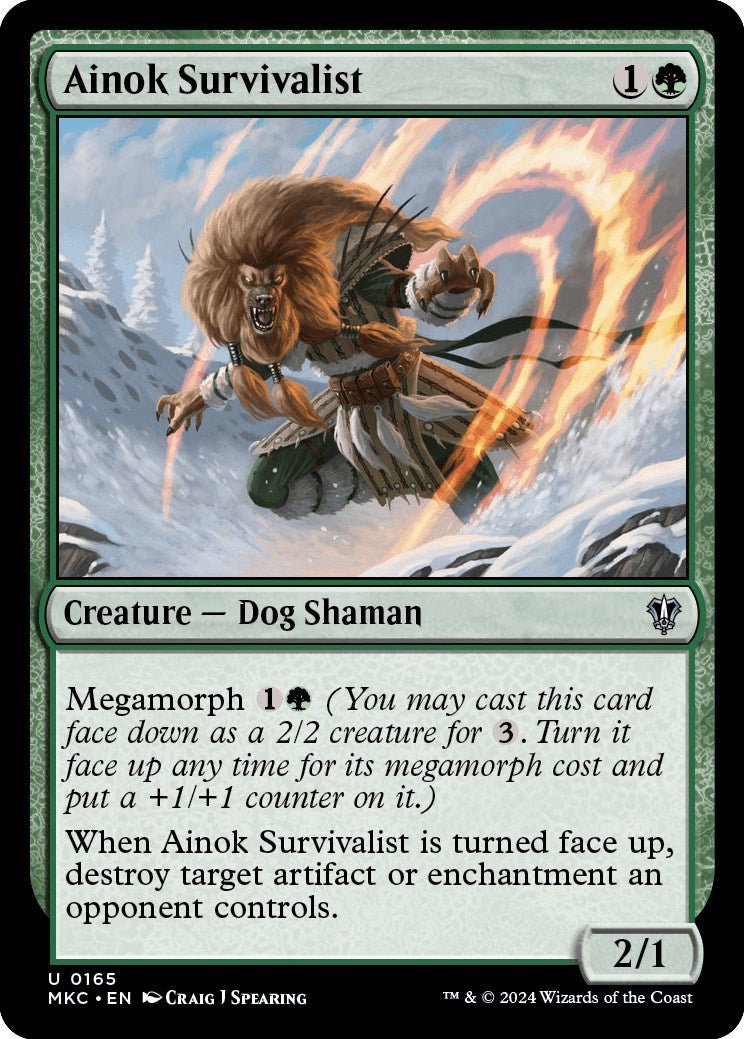 Ainok Survivalist [Murders at Karlov Manor Commander] - Card Brawlers