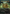 Anthem of Champions (Borderless Mana Foil) [Foundations] - Card Brawlers