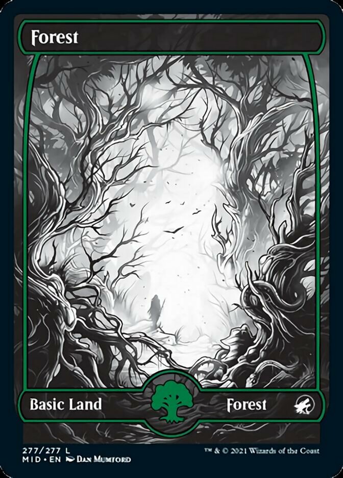 Forest (277) [Innistrad: Midnight Hunt] - Magic: The Gathering - Card Brawlers | Quebec | Canada |