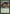 Pelakka Wurm [Conspiracy] - Magic: The Gathering - Card Brawlers | Quebec | Canada |