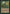 Sylvan Tutor [Portal] - Magic: The Gathering - Card Brawlers | Quebec | Canada |