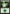 Forest (510) [Commander Legends] - Magic: The Gathering - Card Brawlers | Quebec | Canada |