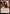 Loyal Apprentice [Tarkir: Dragonstorm Commander] - Magic: The Gathering - Card Brawlers | Quebec | Canada |