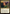 Trace of Abundance [Secret Lair Drop Series] - Magic: The Gathering - Card Brawlers | Quebec | Canada |