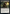 Maalfeld Twins [Game Night: Free-for-All] - Magic: The Gathering - Card Brawlers | Quebec | Canada |