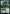 Ettercap // Web Shot [Commander Legends: Battle for Baldur's Gate] - Magic: The Gathering - Card Brawlers | Quebec | Canada |