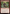 Goblin Trailblazer [Foundations Jumpstart] - Magic: The Gathering - Card Brawlers | Quebec | Canada |
