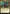 Kadena, Slinking Sorcerer (Oversized) [Commander 2019 Oversized] - Magic: The Gathering - Card Brawlers | Quebec | Canada |