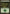 Forest (246) [Magic 2013] - Magic: The Gathering - Card Brawlers | Quebec | Canada |