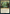 Thriving Grove [Commander Masters] - Magic: The Gathering - Card Brawlers | Quebec | Canada |