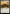 Dawn of Hope [The Lord of the Rings: Tales of Middle-Earth Commander] - Magic: The Gathering - Card Brawlers | Quebec | Canada |