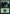 Forest (63) [Duel Decks: Elspeth vs. Kiora] - Magic: The Gathering - Card Brawlers | Quebec | Canada |
