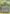 Poochyena (64/109) [EX: Ruby & Sapphire] - Pokémon - Card Brawlers | Quebec | Canada |