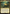 Choco, Seeker of Paradise [FINAL FANTASY] - Magic: The Gathering - Card Brawlers | Quebec | Canada |