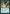 Long-Term Plans [Secret Lair: Heads I Win, Tails You Lose] - Magic: The Gathering - Card Brawlers | Quebec | Canada |