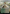 Restless Prairie (Borderless) [The Lost Caverns of Ixalan] - Magic: The Gathering - Card Brawlers | Quebec | Canada |