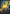 Enduring Vitality (Japan Showcase) (Japanese) [Duskmourn: House of Horror] - Magic: The Gathering - Card Brawlers | Quebec | Canada |