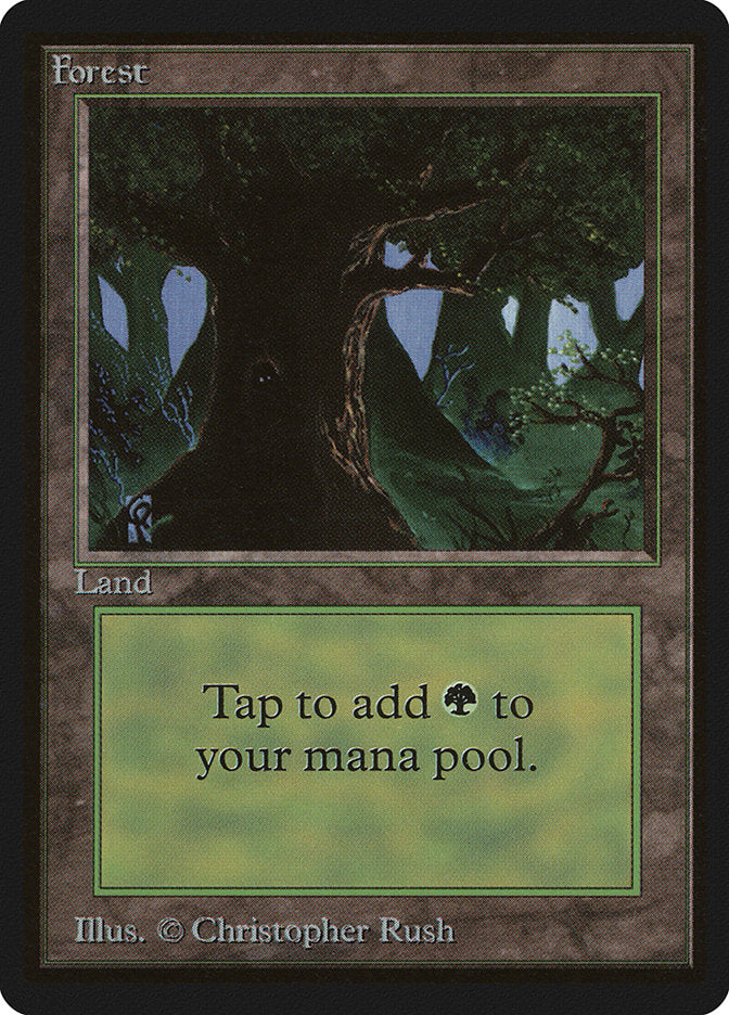 Forest (302) [Beta Edition] - Magic: The Gathering - Card Brawlers | Quebec | Canada |