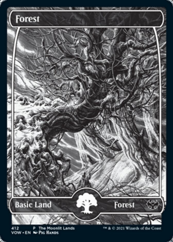 Forest (The Moonlit Lands) (Foil Etched) [Innistrad: Crimson Vow Promos] - Magic: The Gathering - Card Brawlers | Quebec | Canada |