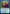 Wiretapping [Streets of New Capenna Prerelease Promos] - Magic: The Gathering - Card Brawlers | Quebec | Canada |