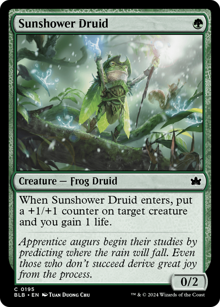 Sunshower Druid [Bloomburrow] - Magic: The Gathering - Card Brawlers | Quebec | Canada |