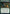 Ecological Appreciation (Promo Pack) [Strixhaven: School of Mages Promos] - Magic: The Gathering - Card Brawlers | Quebec | Canada |