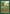 Wolverine Pack [Legends] - Magic: The Gathering - Card Brawlers | Quebec | Canada |