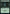 Forest (468) [Commander Legends: Battle for Baldur's Gate] - Magic: The Gathering - Card Brawlers | Quebec | Canada |
