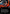 New Way Forward (Borderless) [Tarkir: Dragonstorm] - Magic: The Gathering - Card Brawlers | Quebec | Canada |