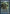 Treasure Mage (Extended Art) [Mirrodin Besieged Promos] - Magic: The Gathering - Card Brawlers | Quebec | Canada |