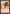 Messenger's Speed [Theros] - Magic: The Gathering - Card Brawlers | Quebec | Canada |